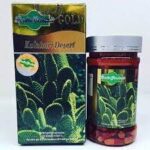 Cactus – Hoodia Gordonii Gold weight Loss