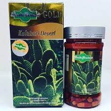 Cactus – Hoodia Gordonii Gold weight Loss