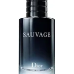 Sauvage By Christian Dior For Men Eau De Toilette 100ml